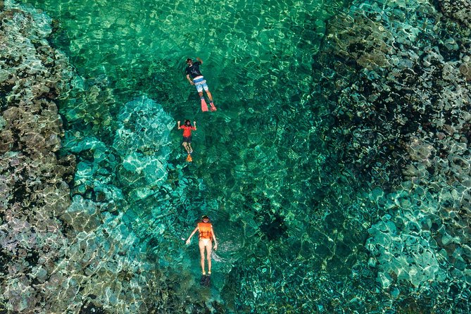 Shore Excursion Premium Family Snorkeling Experience - Getting from Santa Cruz pier to Playa La Entrega