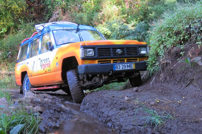 Shore Excursion - Santana & Peaks 4x4 tour - Group size, timing, and comfort