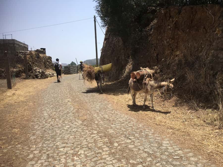 Shore Excursion, Santo Antão, Full Day, Highlights by car - Povacao and Lunch in Ribeira Grande