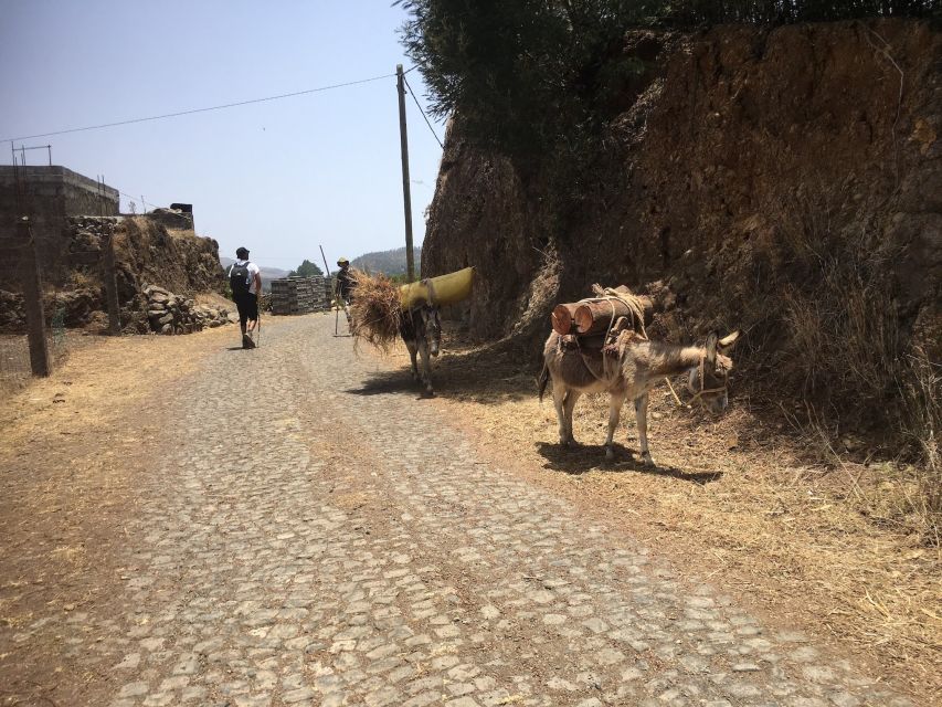 Shore Excursion, Santo Antão, Full Day, Highlights by car - Sinagoga and Cape Verdean Jewish History