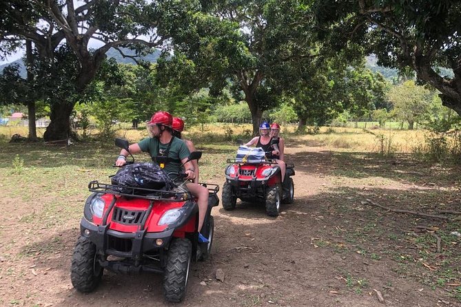 Shore Excursion: V.I.P. DayPass: ATV, Zip Lines, Horseback Riding & Lunch - ATV riding through the Dominican countryside