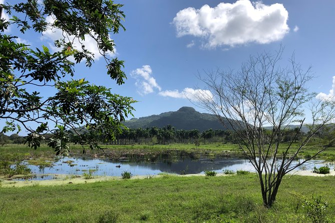 Shore Excursion: V.I.P. DayPass: ATV, Zip Lines, Horseback Riding & Lunch - Who will enjoy this pass most