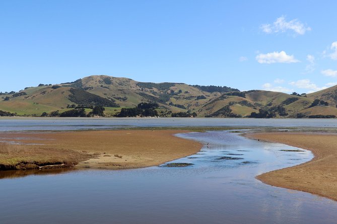 Shore Excursion: V8 Trike, Peninsula and City Tour - The ride toward Otago Peninsula