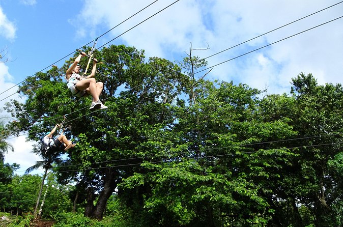 Shore Excursion: Zip Line Adventure - What the $74.99 price really covers