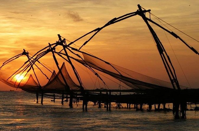 Shore Excursions from Cochin Cruise Terminal - Who will get the most from this excursion?
