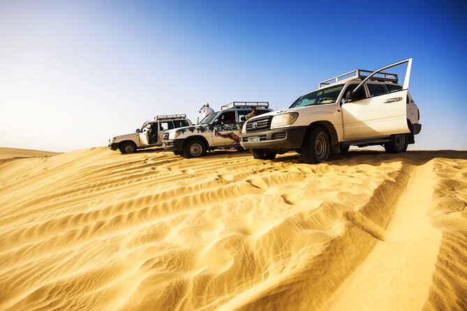 Shore Excursions of Dubai City Tour followed by Desert Safari - The gap between city sights and desert sand