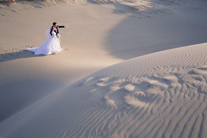 Shore Excursions of Dubai City Tour followed by Desert Safari - BBQ dinner, music, and evening shows