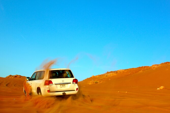 Shore Excursions of Dubai City Tour followed by Desert Safari - Is $150 good value?
