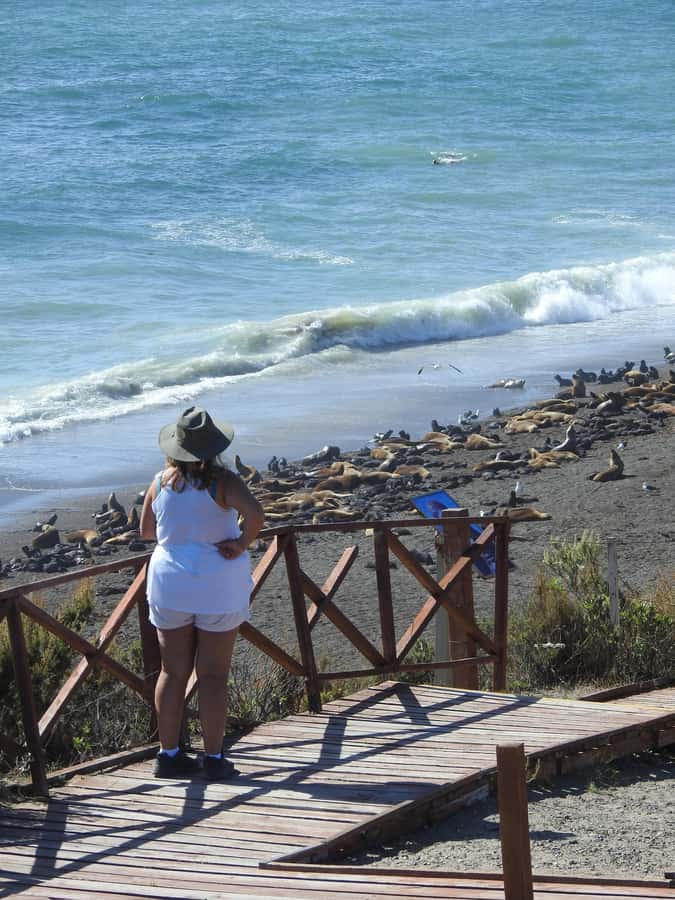 Shore Tours Peninsula Valdes Puerto Madryn Cruise Passengers - Key points at a glance