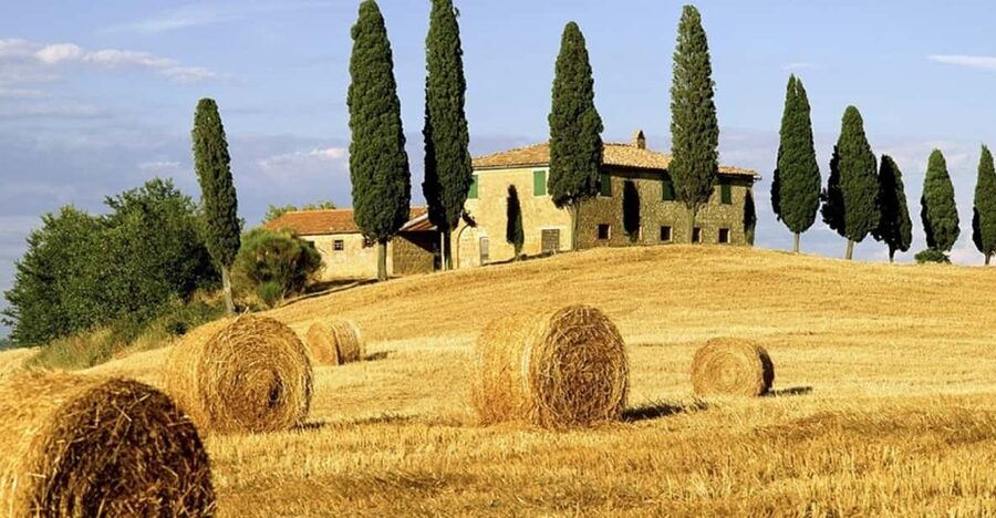 Shore Trip from La Spezia: Pisa,Lucca,lunch & tasting Winery - The winery lunch in Chianti
