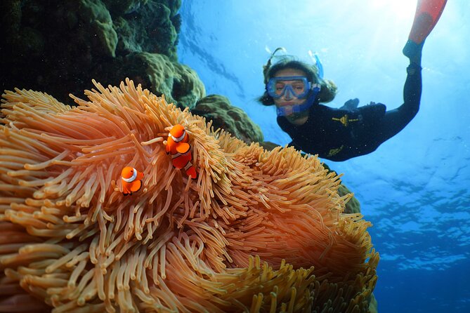 Silversonic Outer Great Barrier Reef Cruise from Port Douglas - Three reef sites and five hours in the water