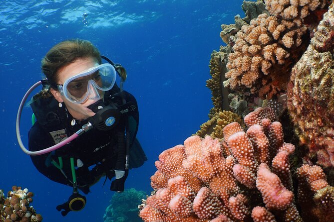 Silversonic Outer Great Barrier Reef Cruise from Port Douglas - Is the AUD $192 price good value?