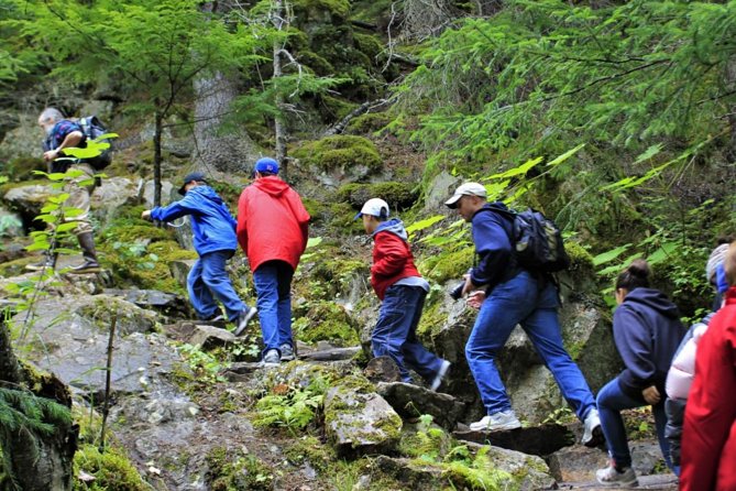 Skagway Shore Excursion Chilkoot Trail Hike and Float Tour - Meeting your van at the Skagway port