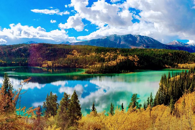 Skagway Shore Excursion: Full-Day Tour of the Yukon - What makes this Yukon trip worth your cruise day