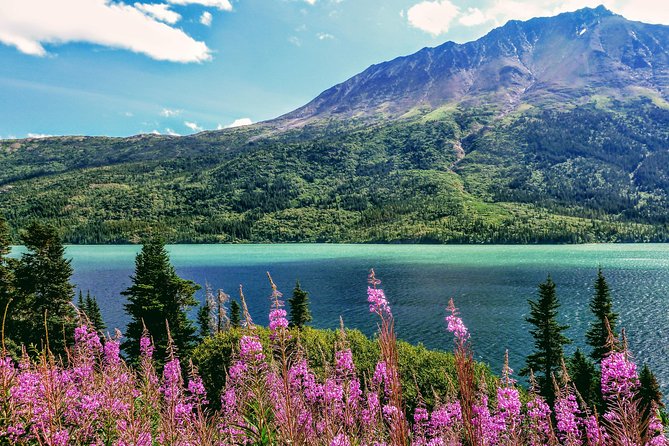 Skagway Shore Excursion: Full-Day Tour of the Yukon - Leaving Skagway for the Klondike Highway