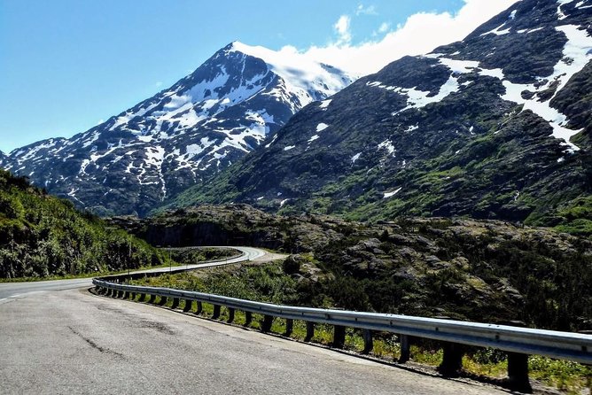 Skagway Shore Excursion: Half-Day Tour to the Yukon Border and Suspension Bridge - The guide can shape the whole four-hour outing