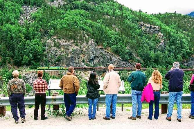 Skagway Shore Excursion: Half-Day Tour to the Yukon Border and Suspension Bridge - Price, timing, and value at $138.93