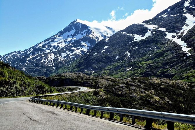 Skagway Shore Excursion: White Pass Summit and Skagway City Tour - The Klondike Highway climbs into open country
