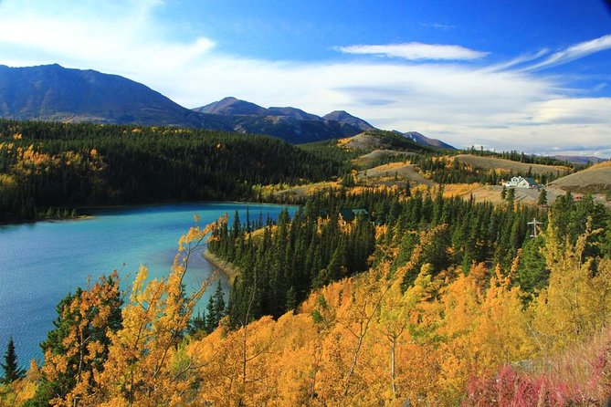 Skagway Shore Excursion: Yukon Discovery Tour - Key points to know before booking
