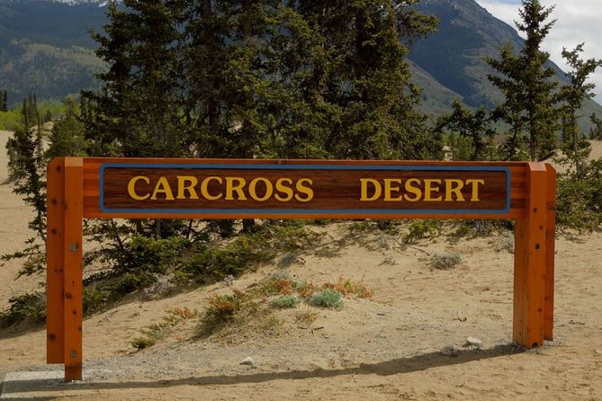 Skagway Shore Excursion: Yukon Discovery Tour - Emerald Lake, Carcross, and the changing scenery