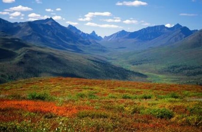 Skagway Shore Excursion: Yukon Dog Sledding and Sightseeing Tour - Key points to know before booking