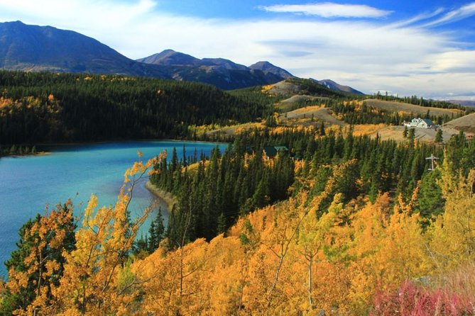 Skagway Shore Excursion: Yukon Dog Sledding and Sightseeing Tour - Lunch and timing require a clear plan