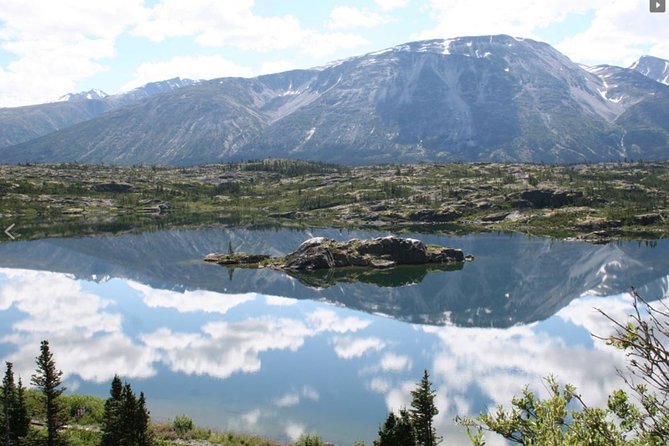 Skagway Shore Excursion: Yukon Dog Sledding and Sightseeing Tour - Passport rules are not optional
