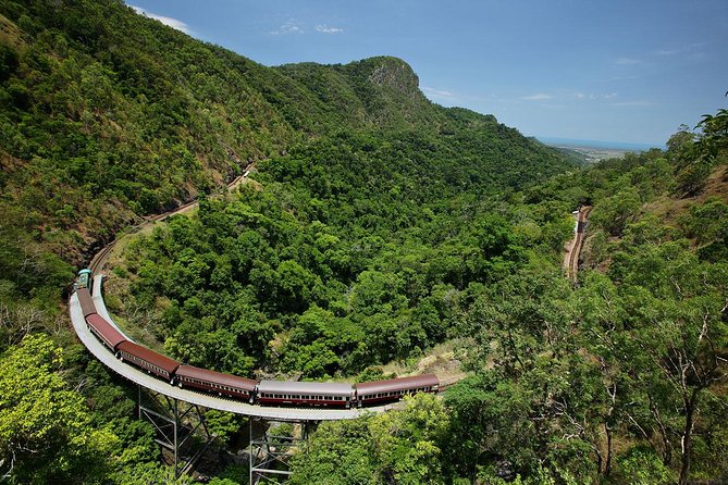 Skyrail Rainforest Cableway Day Trip from Port Douglas - The rainforest stations deserve your time