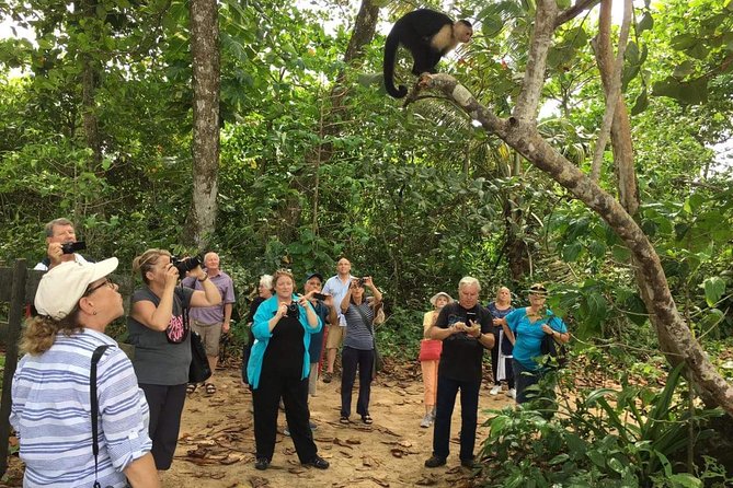 Sloths Lovers Tour. Puerto Limon Shore Excursion - Is $135 a fair price?