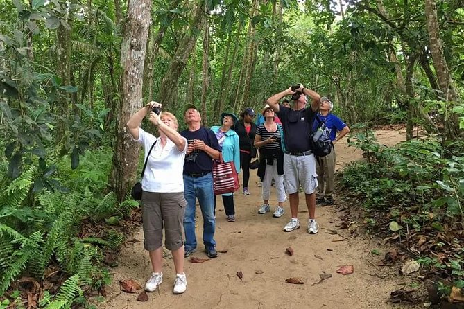 Sloths Lovers Tour. Puerto Limon Shore Excursion - Cahuita National Park and the Caribbean coast