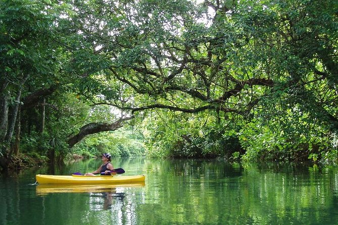 Small Group River Kayaking Tour from Port Vila - Paddling into the Rentapao River rainforest