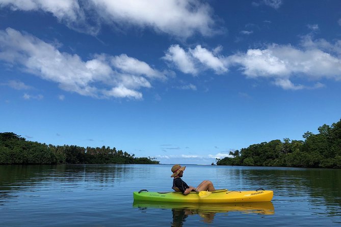 Small Group River Kayaking Tour from Port Vila - A relaxed paddle past villages and mangroves