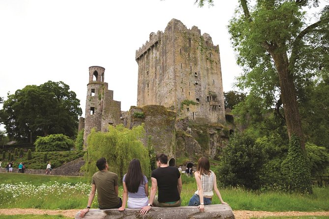(Small Group) Shore Tour from Cork: Blarney Castle & Jameson Distillery - Who should book this excursion