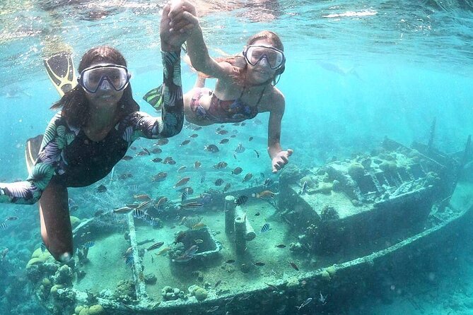 Snorkel Shore Trip with Scubaçao "East Point" - Key things to know before booking