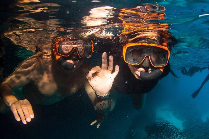 Snorkel Shore Trip with Scubaçao "East Point" - A small group changes the feel of the day