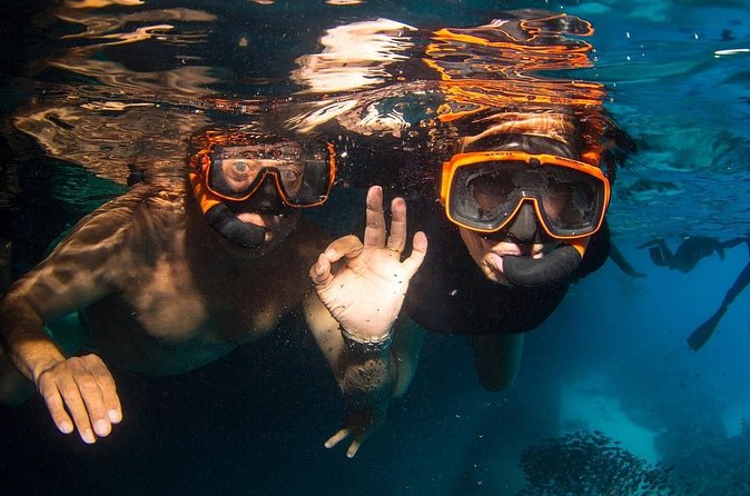 Snorkel Shore Trip with Scubaçao "East Point" - What the transport and gear are really like