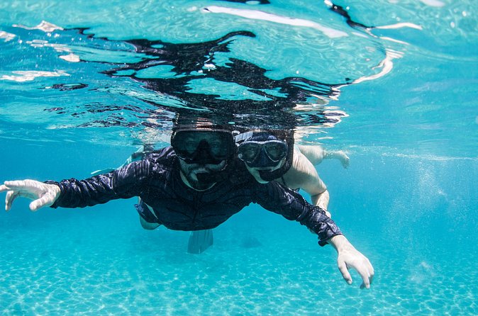 Snorkel Shore Trip with Scubaçao "East Point" - The picnic is useful, but keep it simple