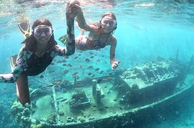 Snorkel Shore Trip with Scubaçao "East Point" - Is $110 a fair price?