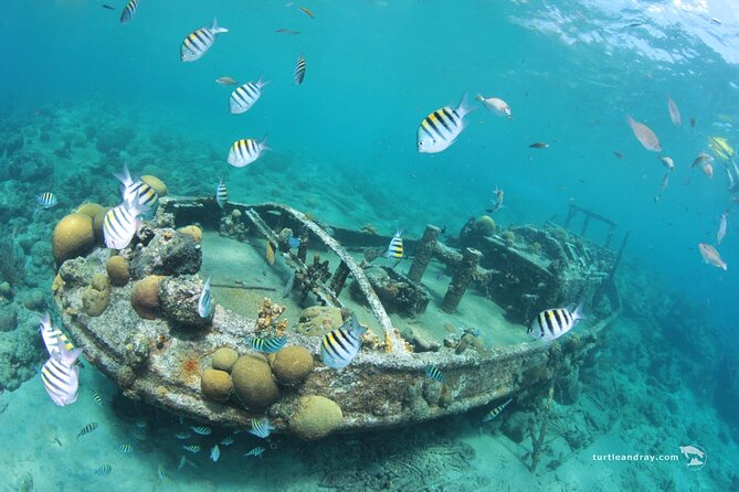 Snorkel Shore Trip with Scubaçao "East Point" - Who should choose this outing?