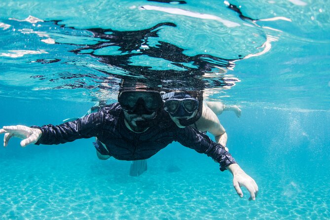 Snorkel Shore Trip with Scubaçao "East Point" - Director’s Bay brings coral and a drop-off