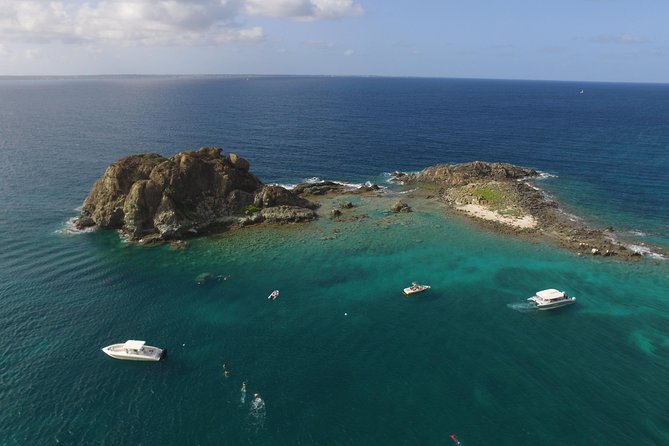 Speed Boat & Snorkeling Tour Pinel & Tintamarre Islands for CRUISE SHIP GUESTS - The French Coast, La Samanna, and Fish Along Long Bay