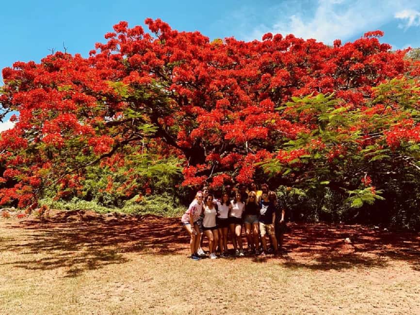 St. Kitts: Private Island Highlights Shore Excursion - Brimstone Hill is the day’s major sight