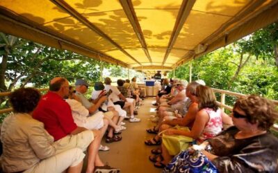 St. Kitts : Sugar Train with Pick Up & Drop-Off & Drinks