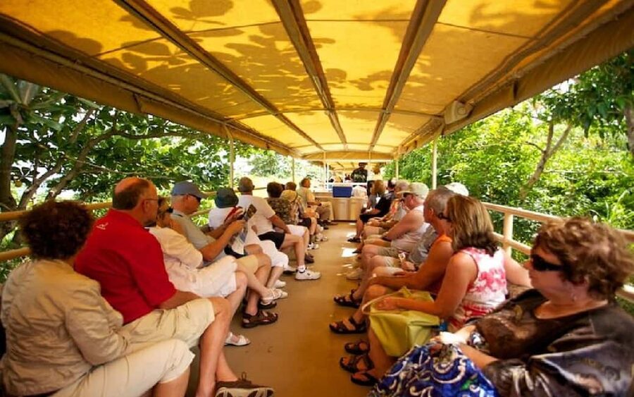 St. Kitts : Sugar Train with Pick Up & Drop-Off & Drinks - What you see from the train