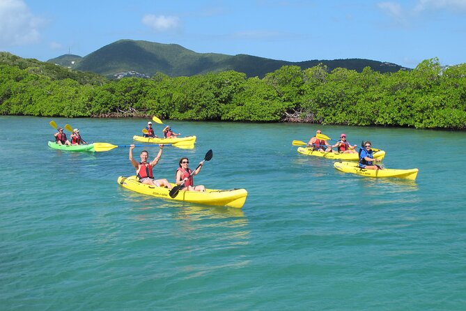 St Thomas Shore Excursion: Mangrove Lagoon Kayak and Snorkel Tour - Quick take: what makes this tour worth considering