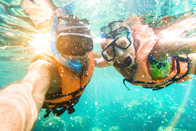 St Thomas Shore Excursion: Mangrove Lagoon Kayak and Snorkel Tour - Why the mangroves are the real attraction