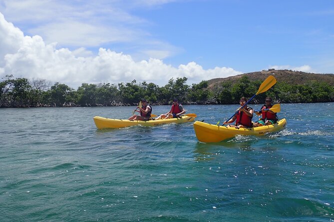 St Thomas Shore Excursion: Mangrove Lagoon Kayak and Snorkel Tour - Cas Cay adds a short island walk