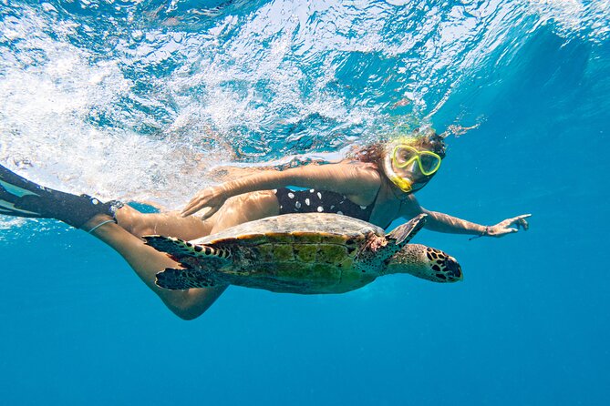 St Thomas Shore Excursion: Mangrove Lagoon Kayak and Snorkel Tour - Comfort, equipment, and what to pack