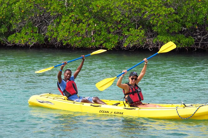 St Thomas Shore Excursion: Mangrove Lagoon Kayak and Snorkel Tour - Is $119 a fair price?