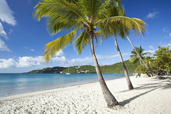 St Thomas Shore Excursion: Shopping, Sightseeing and Beach Tour - What makes this tour worth considering